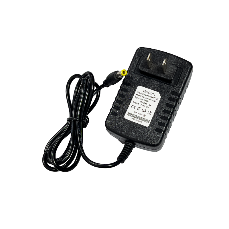 12V2A24W